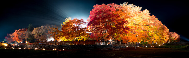 Perfect shot of Panorama of maple corridor light up japan to night