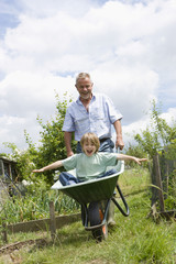 Grandfather giving grandson ride in wheelbarrow in community garden