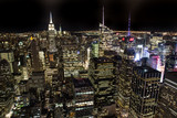 Fototapeta Koty - The New York City in the night