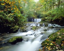 Stock Ghyll Beck, Ambleside, Lake District, Cumbria