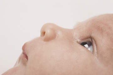 Detail shot of a baby boy' face