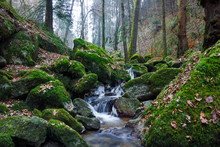 Winter Creek In Austria