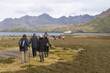© robertharding - Walking toward Stromness Bay, South Georgia, South Atlantic