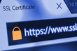 © mbruxelle - Close-up of a browser window showing lock icon during SSL connection
