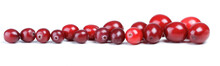 Close-up Of Cranberries On White Background