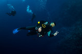 Fototapeta Do akwarium - Diver on the reaf
