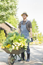 Full-length Of Gardener Pushing Wheelbarrow With Plants At Garden