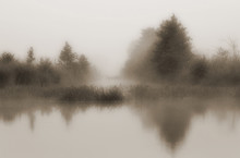 Landscape With Morning Mist