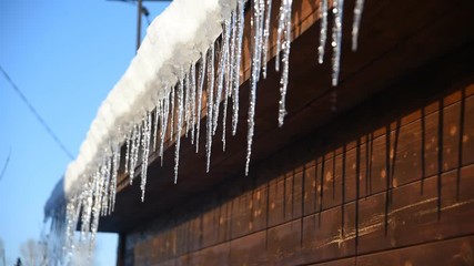 Wall Mural - icicles glisten in the sun and dripping drops
