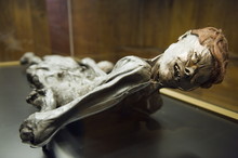 Preserved Body Of The 2000 Year Old Grauballe Man, Moesgard Museum Of Prehistory, Arhus, Jutland, Denmark