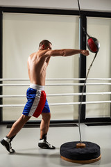 Wall Mural - young boxer trains in the gym