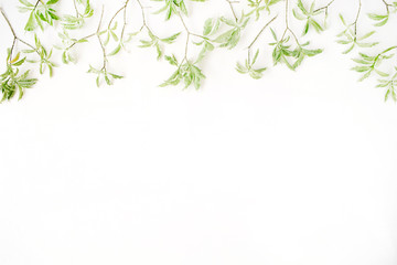 Poster - green leaf pattern on white background. flat lay header