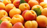 Ripe apricots fruit background