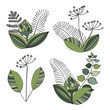 Scandinavian vector floral ornaments. Set of simple hand drawn elements in nordic style for your designs.