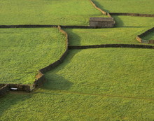 Walled Fields And Barns Near Gunnister, Swaledale, Yorkshire Dales National Park, Yorkshire