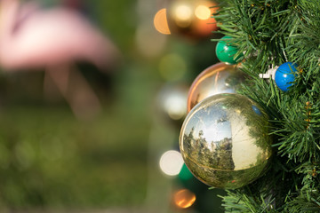 Christmas colorful ball decorate on pine tree copy space blur ba