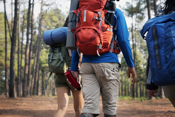 Wall Mural - Friends Walking Exploring Outdoors Concept