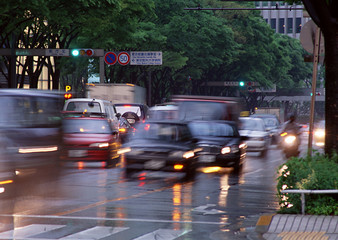 Wall Mural - Rainy Road