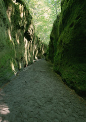 Wall Mural - Cave Opening of Moss