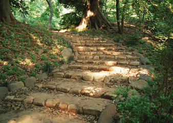 Wall Mural - Stone Steps