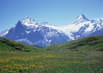 Wall Mural - Mountain