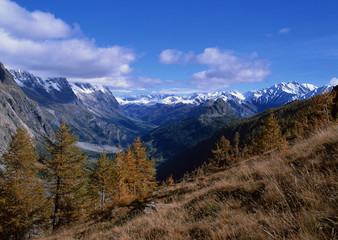 Wall Mural - Mont Blanc Mountains