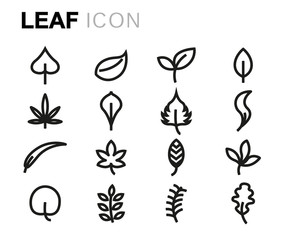 Wall Mural - Vector line leaf icons set