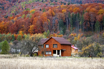 Sticker - Carpathian village in autumn