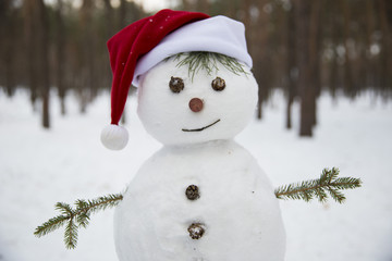 close-up of a cheerful snowman on the background of the winter f