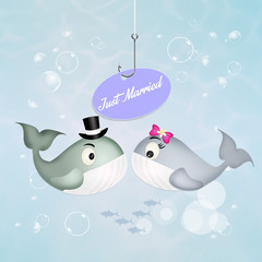 Sticker - Wedding of whales