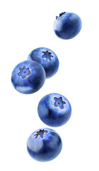 Poster - Isolated blueberries flying in the air