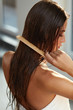 © puhhha - Beautiful Woman Hairbrushing Her Long Wet Hair. Hair Care