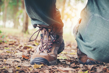 Hikers boots on forest trail