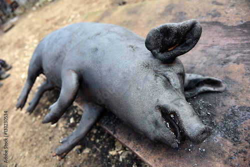 Slaughtered pig. Burned pig prepared for traditional butchering Stock ...