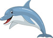 Funny dolphin fun