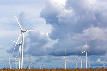 Wind turbine farm