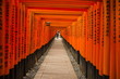© robertharding - The Endless Red Gates of Kyoto's Fushimi Inari Shrine, Kyoto, Japan