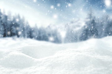 Wall Mural - winter space of snow