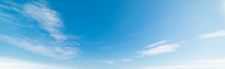 Wall Mural - blue sky in Pacific Beach