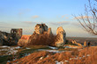 Ruiny zamku w Olsztynie, turyści zimą.