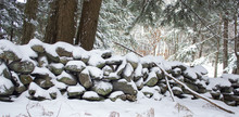 Stone Wall In Forest Covered In Snow