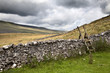 © robertharding - Dry stone wall and ladder stile at Twisleton Scar near Ingleton, Yorkshire Dales, North Yorkshire, Yorkshire