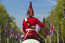Mounted Soldier Of The Household Cavalry Along The Mall, London