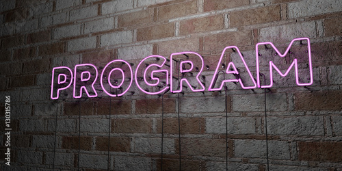 Fotografie, Obraz PROGRAM - Glowing Neon Sign on stonework wall - 3D rendered royalty free stock illustration