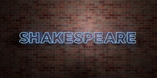 SHAKESPEARE - Fluorescent Neon Tube Sign On Brickwork - Front View - 3D Rendered Royalty Free Stock Picture. Can Be Used For Online Banner Ads And Direct Mailers..