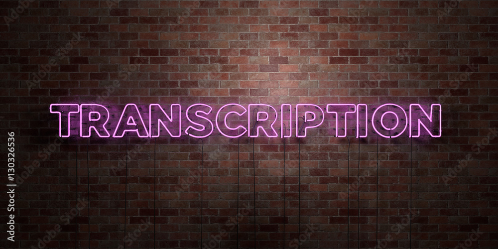 Transcribed Sign TRANSCRIPTION - fluorescent Neon tube Sign on brickwork - Front view ...