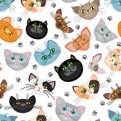 Wall Mural - Cat face vector background with paws