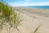 Fototapeta Morze - Sandy beach of the sea coast