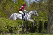 © robertharding - Young man rides a grey mare horse in a cross-country eventing competition