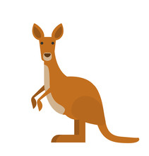 Cute Kangaroo In Flat Style On White Background